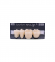 NOVO LIGN P VENEER POST G4 LOWER A2 4 pc ASST 34, 35, 36, 37