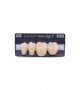 NOVO LIGN P VENEER POST G4 LOWER A2 4 pc