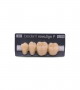 NOVO LIGN P VENEER POST G4 LOWER A4 4 pc