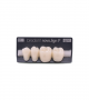 NOVO LIGN P VENEER POST G4 LOWER B1 4 pc ASST 34, 35, 36, 37