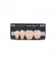 NOVO LIGN P VENEER POST G4 LOWER B2 4 pc ASST 34, 35, 36, 37