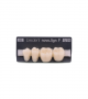 NOVO LIGN P VENEER POST G4 LOWER B2 4 pc