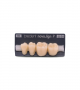 NOVO LIGN P VENEER POST G4 LOWER B3 4 pc ASST 34, 35, 36, 37