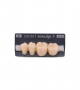 NOVO LIGN P VENEER POST G4 LOWER B3 4 pc