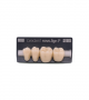 NOVO LIGN P VENEER POST G4 LOWER C2 4 pc ASST 34, 35, 36, 37