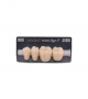 NOVO LIGN P VENEER POST G4 LOWER C2 4 pc