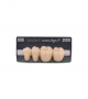 NOVO LIGN P VENEER POST G4 LOWER D2 4 pc ASST 34, 35, 36, 37
