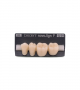 NOVO LIGN P VENEER POST G4 LOWER D3 4 pc ASST 34, 35, 36, 37