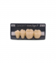NOVO LIGN P VENEER POST G4 LOWER D4 4 pc ASST 34, 35, 36, 37
