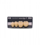 NOVO LIGN P VENEER POST 3W3 LOWER B4 4 pc ASST 34, 35, 36, 37