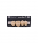 NOVO LIGN P VENEER POST G3 LOWER C3 4 pc ASST 44, 45, 46, 47