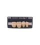 NOVO LIGN P VENEER POST G3 LOWER C3 4 pc