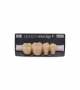 NOVO LIGN P VENEER POST G3 LOWER C4 4 pc