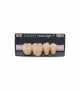 NOVO LIGN P VENEER POST G3 LOWER D3 4 pc