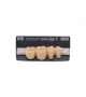 NOVO LIGN P VENEER POST G3 LOWER D4 4 pc