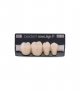 NOVO LIGN P VENEER POST G4 LOWER B1 4 pc ASST 44, 45, 46, 47