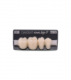 NOVO LIGN P VENEER POST G4 LOWER B1 4 pc