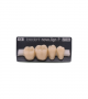 NOVO LIGN P VENEER POST G4 LOWER C3 4 pc