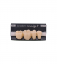 NOVO LIGN P VENEER POST G4 LOWER D2 4 pc