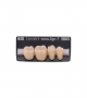 NOVO LIGN P VENEER POST G4 LOWER D3 4 pc