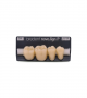 NOVO LIGN P VENEER POST G4 LOWER D4 4 pc