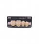 NOVO LIGN P VENEER POST 4W4 LOWER C2 4 pc ASST 44, 45, 46, 47