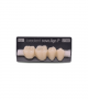 NOVO LIGN P VENEER POST 4W4 LOWER C2 4 pc ASST