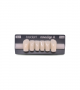 NOVO LIGN A VENEER ANT D38 LOWER A1 6 pc ASST 33, 32, 31, 41, 42, 43