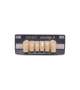 NOVO LIGN A VENEER ANT D38 LOWER B3 6 pc ASST 33, 32, 31, 41, 42, 43