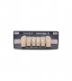 NOVO LIGN A VENEER ANT D38 LOWER C1 6 pc ASST 33, 32, 31, 41, 42, 43