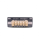 NOVO LIGN A VENEER ANT D38 LOWER D2 6 pc ASST 33, 32, 31, 41, 42, 43