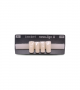 NOVO LIGN A VENEER ANT D39 LOWER A1 4 pc ASST 32, 31, 41, 42