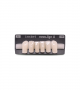 NOVO LIGN A VENEER ANT D39 LOWER A1 6 pc ASST 33, 32, 31, 41, 42, 43