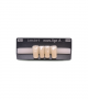 NOVO LIGN A VENEER ANT D39 LOWER A2 4 pc ASST 32, 31, 41, 42