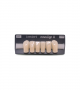 NOVO LIGN A VENEER ANT D39 LOWER A3 6 pc ASST 33, 32, 31, 41, 42, 43