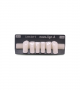 NOVO LIGN A VENEER ANT D39 LOWER BL3 6 pc ASST 33, 32, 31, 41, 42, 43