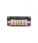 NOVO LIGN A VENEER ANT D39 LOWER D3 6 pc ASST 33, 32, 31, 41, 42, 43