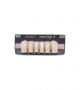 NOVO LIGN A VENEER ANT D41 LOWER A1 6 pc ASST 33, 32, 31, 41, 42, 43