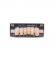 NOVO LIGN A VENEER ANT D41 LOWER A2 6 pc ASST 33, 32, 31, 41, 42, 43