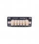 NOVO LIGN A VENEER ANT D41 LOWER B1 6 pc ASST 33, 32, 31, 41, 42, 43