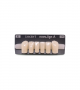NOVO LIGN A VENEER ANT D41 LOWER B2 6 pc ASST 33, 32, 31, 41, 42, 43