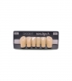 NOVO LIGN A VENEER ANT D41 LOWER B3 6 pc ASST 33, 32, 31, 41, 42, 43