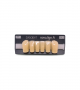 NOVO LIGN A VENEER ANT D41 LOWER B4 6 pc ASST 33, 32, 31, 41, 42, 43