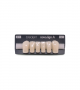 NOVO LIGN A VENEER ANT D41 LOWER C1 6 pc ASST 33, 32, 31, 41, 42, 43