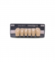 NOVO LIGN A VENEER ANT D41 LOWER C3 6 pc ASST 33, 32, 31, 41, 42, 43