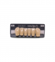 NOVO LIGN A VENEER ANT D41 LOWER C4 6 pc ASST 33, 32, 31, 41, 42, 43