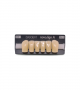 NOVO LIGN A VENEER ANT D41 LOWER D4 6 pc ASST 33, 32, 31, 41, 42, 43