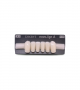 NOVO LIGN A VENEER ANT T35 LOWER A1 6 pc ASST 33, 32, 31, 41, 42, 43