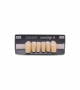 NOVO LIGN A VENEER ANT T35 LOWER A3.5 6 pc ASST 33, 32, 31, 41, 42, 43