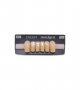 NOVO LIGN A VENEER ANT T35 LOWER A4 6 pc ASST 33, 32, 31, 41, 42, 43